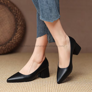Personalized Process Factory Wholesale Size Pointed Design S Women High Elegant Mid <b>Heel</b> Ladies Shoes - Product Image 1