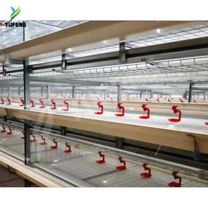 Nouvelle <span class=keywords><strong>vente</strong></span> chaude Cage à poules automatique <span class=keywords><strong>de</strong></span> type H à trois dimensions à quatre niveaux Cage à poulets à poulettes Convoyeur à fumier Galvanisé à chaud - Product Image 5