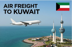 <span class=keywords><strong>Service</strong></span> de fret aérien express vers Dubaï, Émirats arabes unis, et transbordement vers Oman, Bahreïn, Koweït - Product Image 3