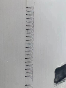 Nuevas extensiones de pestañas de volumen prefabricadas 10D Tallo corto 0,07 Extensiones de pestañas 4D 14D Paquete a granel 10mm Mink PBT Sintético CC Curl - Product Image 6