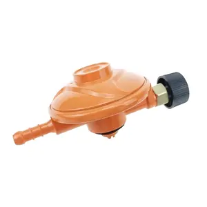 CNJG High Quality Safety 30mBar M16X1.5 6KG Cylinder Mini LPG Safety Gas Regulator With 8mm Hose Pipe