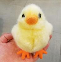 Les fabricants personnalisent la simulation de mini poussin animal en peluche douce jouets en peluche pour les cadeaux