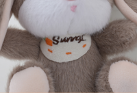 Peluches moelleux peluche lapin en peluche lapin porte-clés peluche carotte lapin poupée lapin de pâques en peluche longues oreilles jouets en peluche
