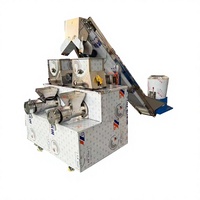 Ligne de production automatique de pâtes 300 kg/h – Machine à fabriquer macaroni, spaghetti, vermicelles – Moulage stable, rendement élevé, transformation alimentaire