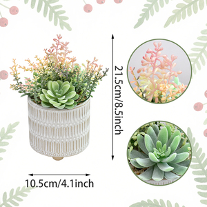 Planta Suculenta Artificial de Plástico con Maceta - <span class=keywords><strong>Cactus</strong></span> Artificial para Decoración de Escritorio en Casa, Regalo al por Mayor para Cumpleaños y Graduación - Product Image 2