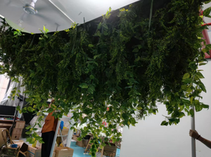 Plante verte artificielle <span class=keywords><strong>décoration</strong></span> <span class=keywords><strong>de</strong></span> plafond faux plafond plante suspendue artificielle feuilles arbre vigne <span class=keywords><strong>décoration</strong></span> - Product Image 2