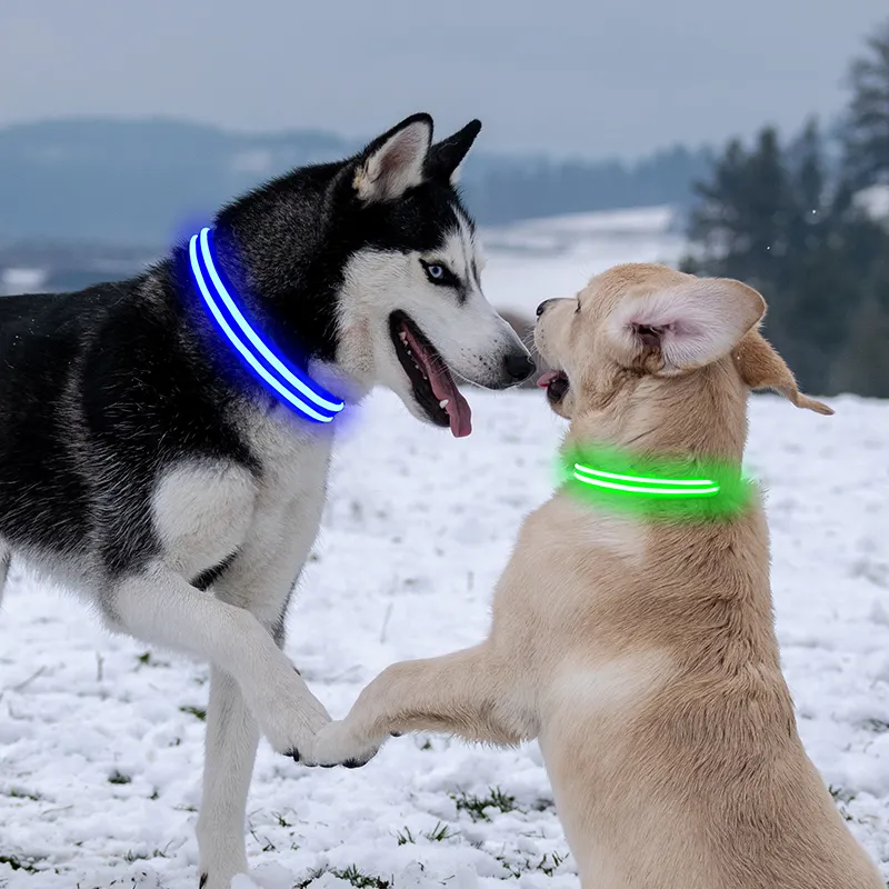 USB rechargeable weatherproof led pets dog collar safety light up puppy collars small moq accept customize