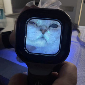 Lampe de Wood portative VetWood pour animaux de compagnie, lumière UV noire 365 Nm, détection des maladies cutanées chez les chiens et les chats, outil de diagnostic vétérinaire - Product Image 3