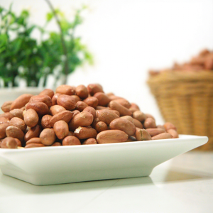 premium wholesale indian groundnuts fresh wholesale groundnut <strong>kernels</strong> global wholesale peanuts new season premium groundnut - Product Image 1