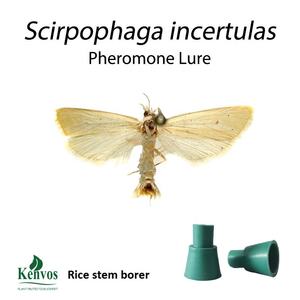 Feromona atrayente para la disrupción del apareamiento del aguijón de arroz |   Feromona Sexual de <span class=keywords><strong>Chilo</strong></span> Suppressalis para el Control de Plagas del Arroz - Product Image 1