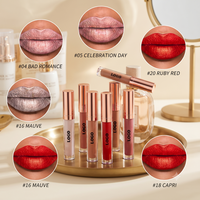 Lipstik Cair Vegan Matte Metalik Grosir Tahan Lama Tahan Air Melembapkan Melembutkan Pigmentasi Tinggi Full Coverage OEM