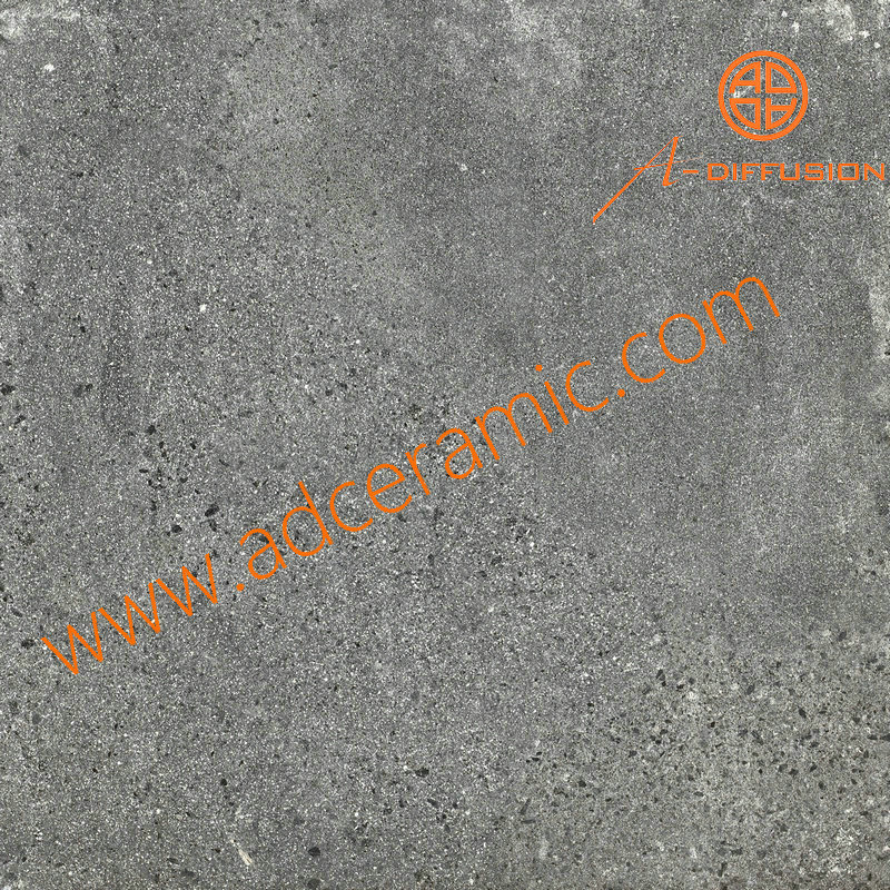 SP6010