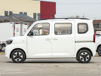Automóvil WuLing, WuLing Zhiguang Nueva Energía 2025, Tipo Comfort de 201 km de Autonomía