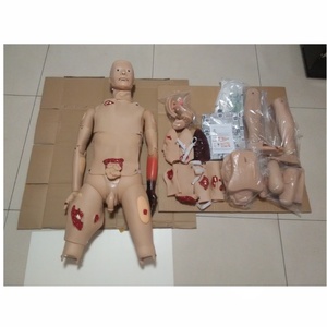 Mannequins de formation aux soins infirmiers traumatiques J110, mannequins médicaux de premiers secours, modèle pour l'enseignement professionnel des sciences médicales - Product Image 3