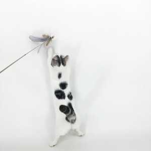 Novo telescópico pólo teaser telescópico duas seções punho de madeira gato brinquedos pena substituível cabeça pesca tipo gato teaser vara - Product Image 1