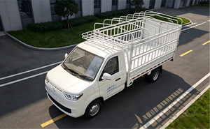 Camioneta Eléctrica de Carga RICH C5 de Largo Alcance, 1.5T, 1150km de Autonomía, para Entregas Urbanas - Product Image 3