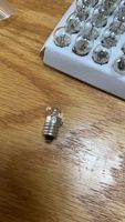Expériences électriques des étudiants chauds 1.5V 2.5V 3.8V petite ampoule E10 tête ronde bricolage