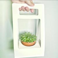 Boîte cadeau personnalisée pour plantes succulentes avec poignée et fenêtre, emballage en carton pliable pour fleurs, idéal pour les petites entreprises
