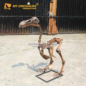 Mijn Dino Uitgestorven Realistische Levensgrote Dier Compleet Dodo Skelet - Product Image 4