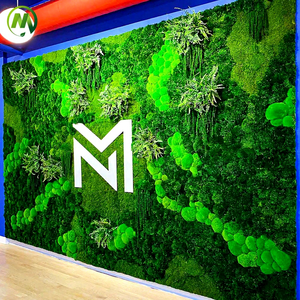 फैक्टरी थोक हस्तनिर्मित पैनल वास्तविक मॉस दीवार उद्यान भूनिर्माण के लिए कृत्रिम मॉस दीवार - Product Image 4