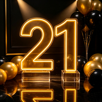 Letras y Números Luminosos LED RGB de 3 y 4 Pies, con Marco Metálico, para Decoración de Fiestas de Cumpleaños y Bodas