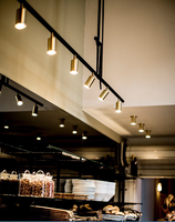 Suspension linéaire lumineuse, spot de plafond sur rail, doré avec tiges réglables, luminaire suspendu pour salle à manger et cuisine