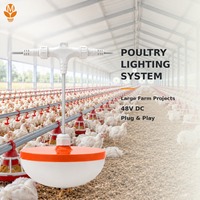 Lampu LED Unggas 48V DC Plug and Play, Tahan Air IP67, Bebas Kedip, Dapat Diredupkan, untuk Peternakan Ayam Broiler, Layer, dan Rumah Induk Unggas