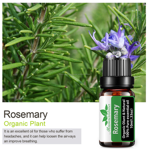 En Stock! MSDS Huile Essentielle De <span class=keywords><strong>Romarin</strong></span> 100% Pur <span class=keywords><strong>Romarin</strong></span> Huile Essentielle Cheveux Croissance Apaise La Douleur - Product Image 4