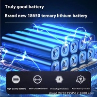 Lave-voiture électrique sans fil 21V Pistolet de pulvérisation d'eau à batterie au lithium portable haute pression pour le nettoyage sans fil