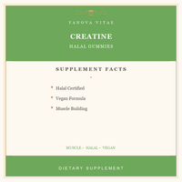 YANOVA ODM/OEM Marque Privée Végétaliens Sans Sucre Créatine Monohydrate Naturelle en Gummies Saveurs Assorties Croissance Musculaire Adulte Force