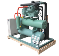 Unité de condensation refroidie par eau personnalisée avec compresseur, réfrigération industrielle écoénergétique pour chambre froide