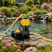 Pompe à eau auto-amorçante à pression contrôlée automatique de haute qualité pour l'irrigation des jardins, l'approvisionnement en eau des puits peu profonds et la réutilisation des eaux de pluie