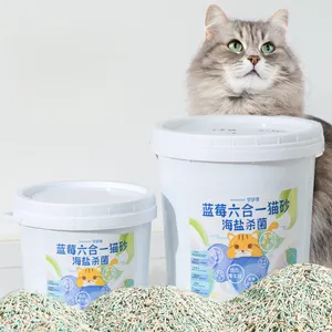 5l 10l PP Buckets With Handle Lid Plastic Pail cat litter barrels