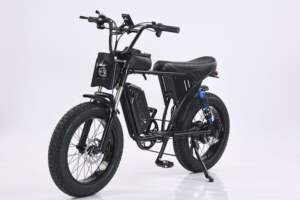 Entrepôt de Californie Vélo électrique à pneus gras de 20 pouces 750W Vélo électrique à suspension double Batterie amovible Moto avec sac pour téléphone - Product Image 3