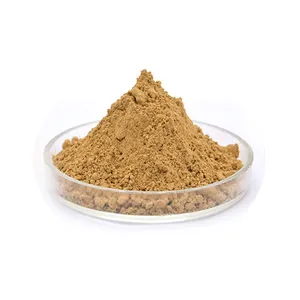 Cosmetic Ingredient lotus seeds extract powder bulk supply lotus seed extract