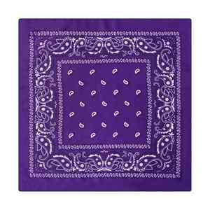Bandanas Personalizadas con Estampado, Conjuntos a Juego para Perros y Gatos, Ideales para Paseos, Salidas al Parque y Diversión - Product Image 5