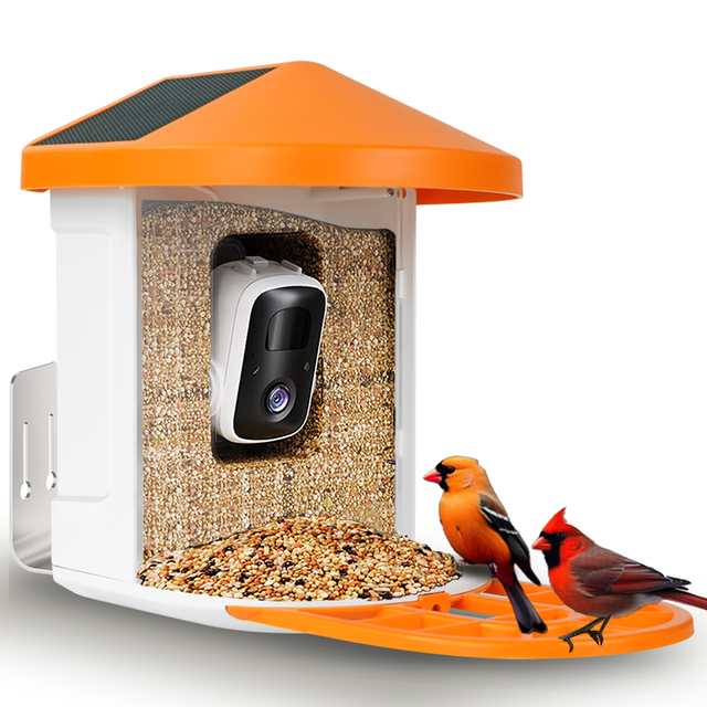 Smart Automatic Eco-Friendly Plastic Outdoor Waterproof AI Detect 10,000 Bird Species Squirrel-proof Bird Feeder Camera 2.4G
