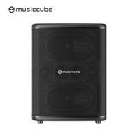 Système de sonorisation actif 2 voies Musiccube T3Pro, système audio stéréo HiFi, enceinte pour buskings, enceinte vocale-acoustique