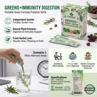Poudre de superaliments verts Gentian OEM/ODM sous marque privée – Soutien immunitaire et digestif – Durée de conservation de 24 mois – 12 sachets par boîte