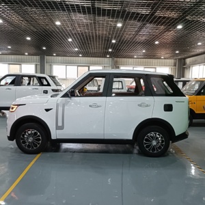 <span class=keywords><strong>Certificado</strong></span> Barato y Venta caliente Inteligente Nueva Energía Adulto Cuatro Ruedas Mini Eléctrico Pequeño Coche Hecho en China - Product Image 4