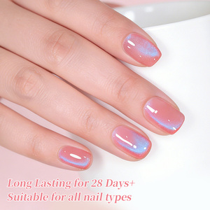 BORN PRETTY TPO-Vernis à Ongles Magnétique en Gel, Sans HEMA, avec Logo Personnalisé, Gelée, Rose et Bleu - Product Image 4