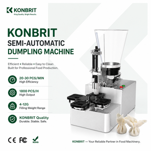 Commercial Wonton Machine for Goldfish Wonton Wantan Hoanh Thanh <strong>Momo</strong> and Asian Food Factory - Product Image 3