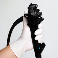 Endoscopie vétérinaire flexible portative de gastroscope vétérinaire d'utilisation de système d'ent de meilleur prix pour l'hôpital animal