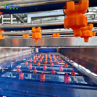 Automatische droogfruitwaslijn voor druiven, cranberries, frambozen, drakenvruchten; op maat gemaakte fruitreinigings- en drooglijn