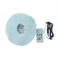10m 12V DC LED Warna-Warni Tembaga WS2812B Lampu String Kontrol Jarak Jauh via Aplikasi USB IP67 Tahan Air Set Tabung Silikon Dapat Diredupkan