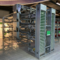 Système de contrôle automatique pour cage verticale à étages de type H – Le meilleur choix pour une production d'œufs à grande échelle et à fort rendement