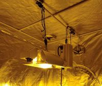 Nuevo Diseño de Lámpara de Cultivo HPS de 1000w con Balastro Electrónico y Reflector de Aluminio Alemán