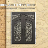 Puertas de Entrada Interiores de Villa de Hierro Forjado y Acero, Resistentes al Viento, con Arco de Vidrio, Diseño Moderno, Uso Comercial, Solución Integral