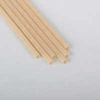Pailles à boire biodégradables en PLA d'agave, compostables, écologiques, à base de plantes