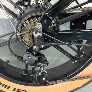 Ridstar Q20 20인치 48V 15Ah 리튬 배터리 E바이크 팻 타이어 시티 전기 산악 더트 바이크 성인용 전기 자전거 - Product Image 3